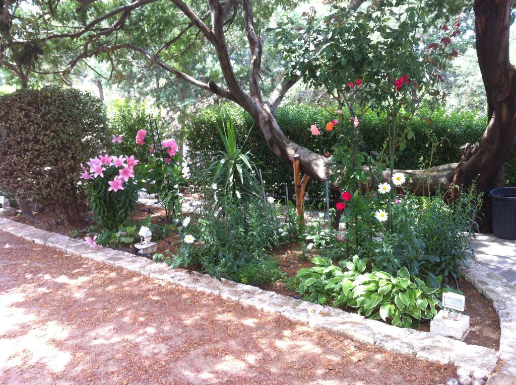 Villa Elofred Saint-Florent  Rum bild