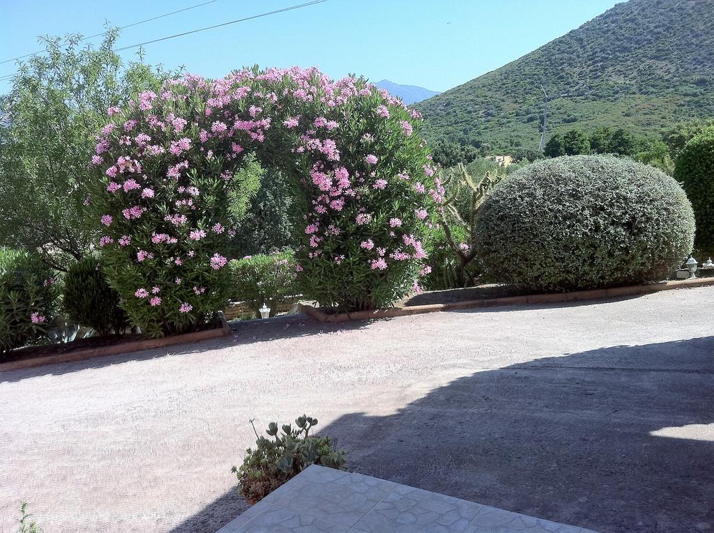 Villa Elofred Saint-Florent  Exteriör bild