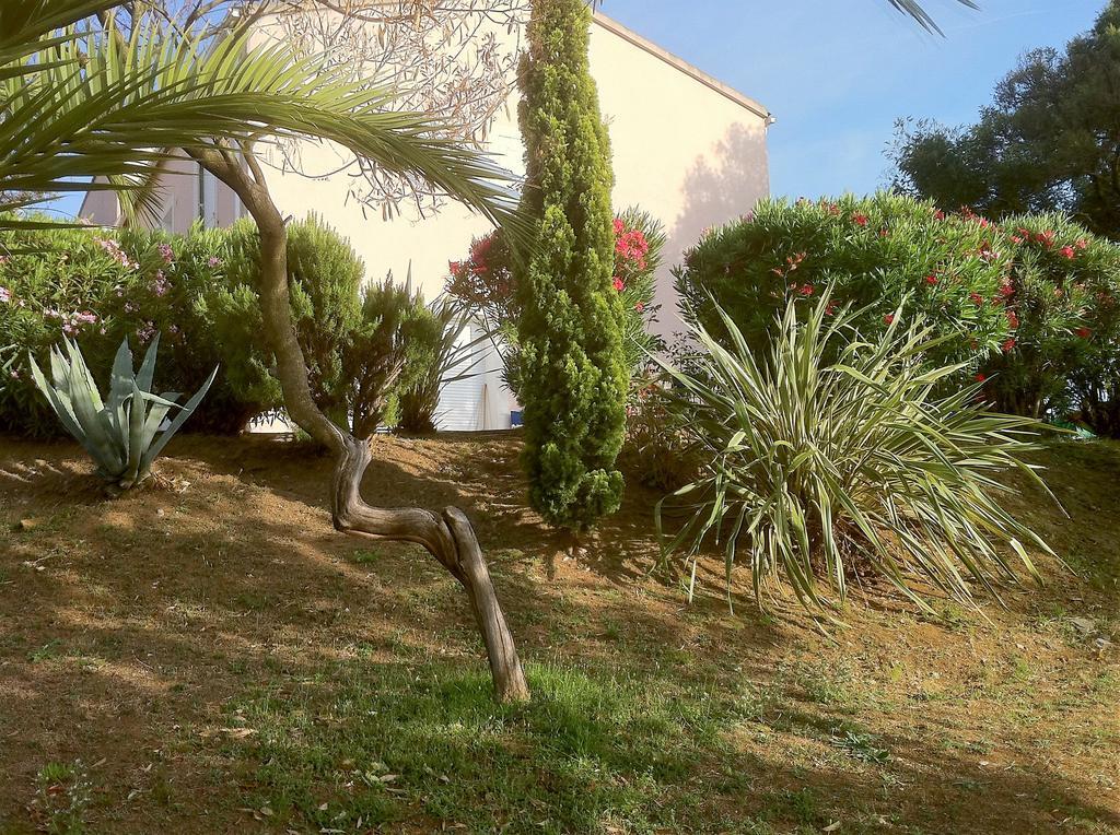 Villa Elofred Saint-Florent  Exteriör bild